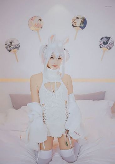 爱拼会赢电视剧全集免费观看