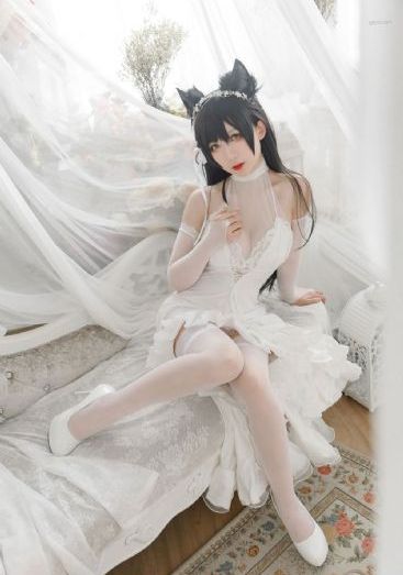 归心似箭